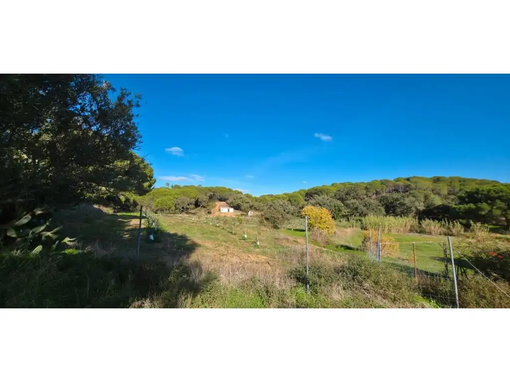 Terreni e lotti in vendita a Villablanca, imagen 6