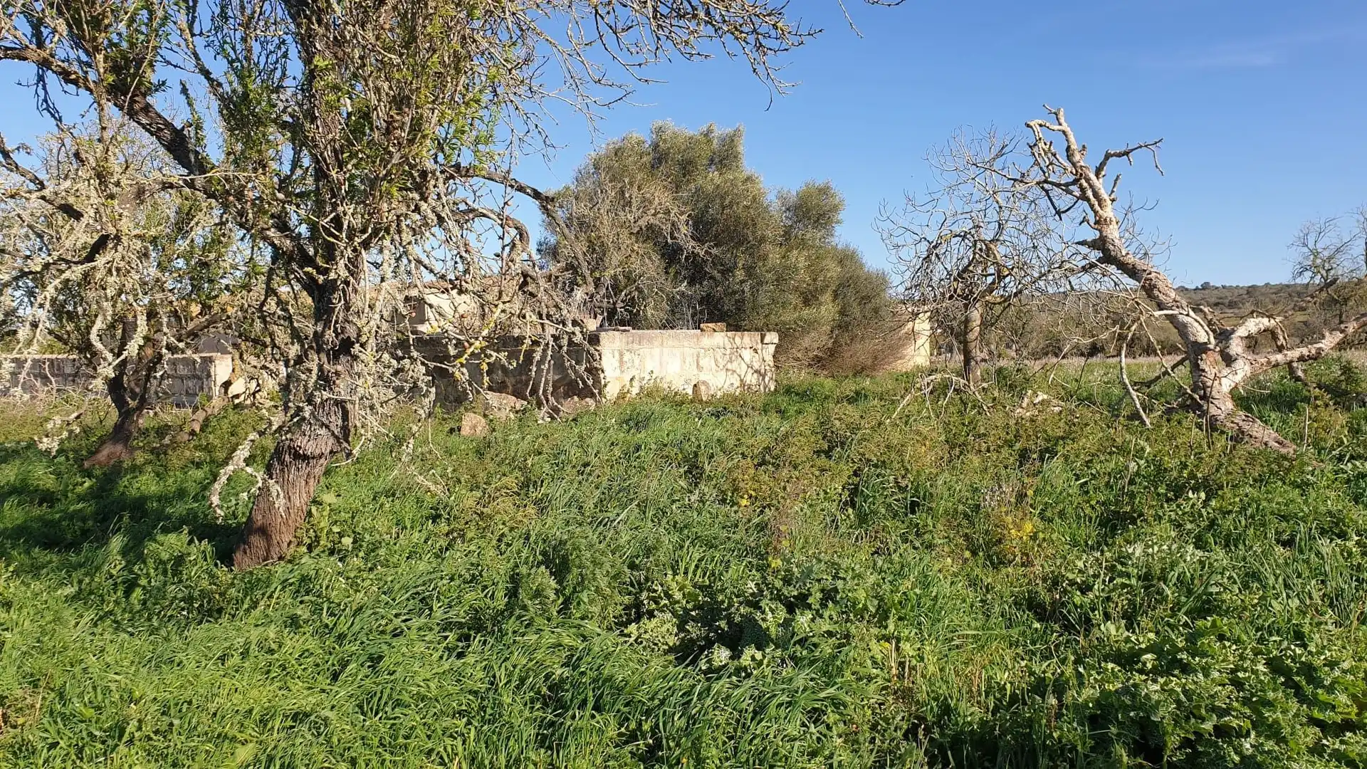 Wohnbaugrundstück zum Verkauf in Ariany, imagen 16