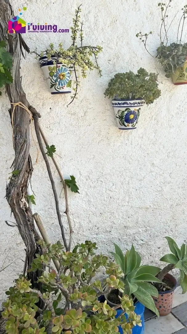 Terraza de Finca rústica de alquiler en Cantoria