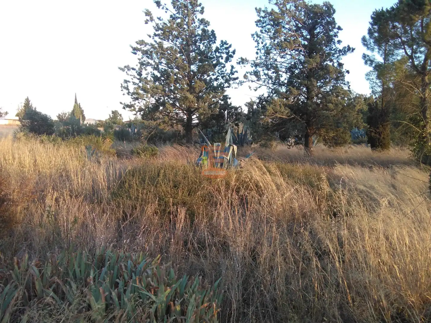 Terreno en venta en Zaragoza