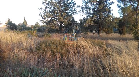Foto 4 de Terreno en venta en Urbanización 19 Huertos Regao Peñaf, Peñaflor, Zaragoza Capital