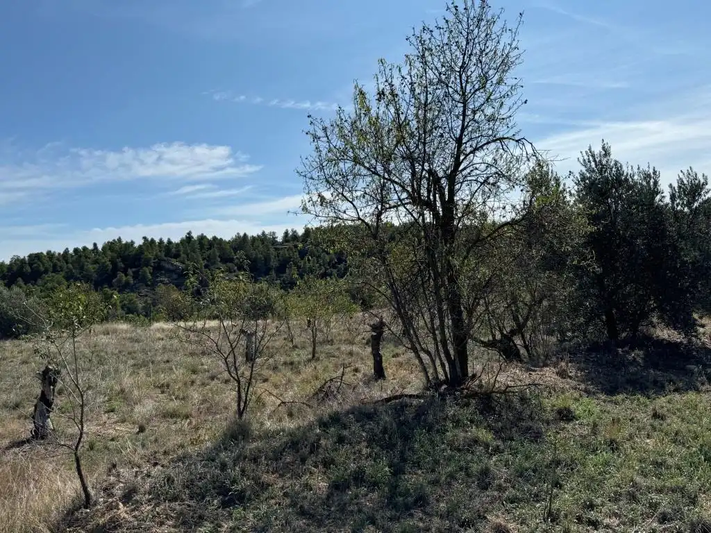 Terreni e lotti in vendita a Camino Fuente 5, imagen 19