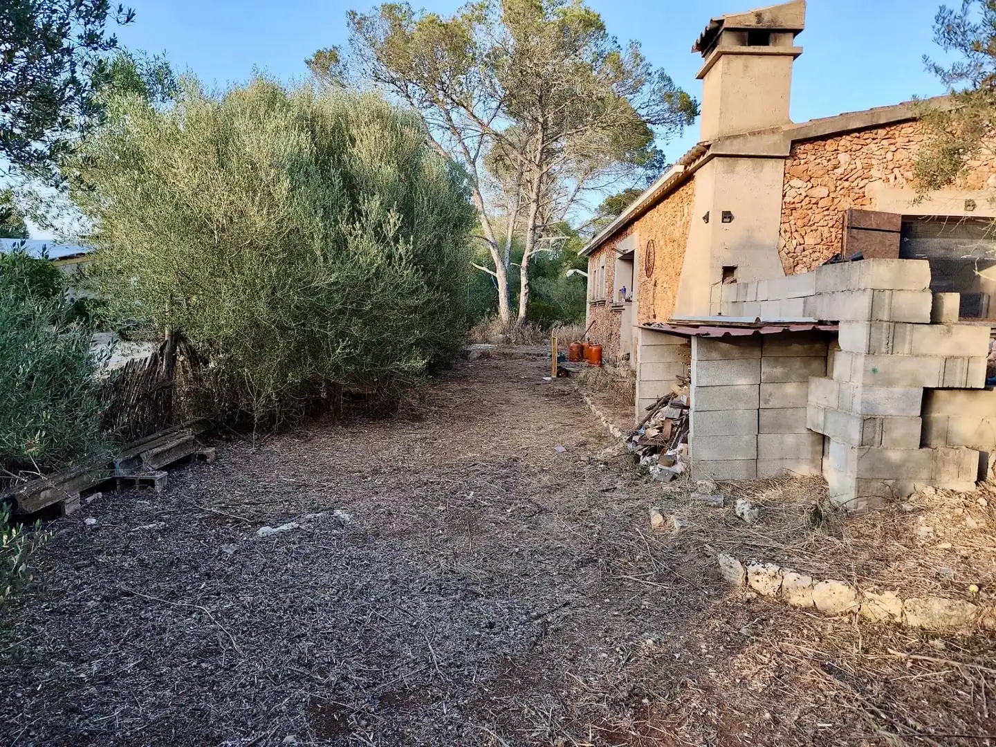 Casa rustica in vendita a Algaida, imagen 8