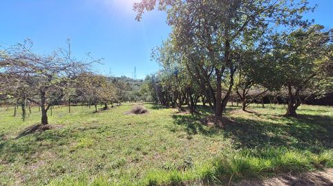 Foto 2 de Finca rústica en venta en Las Regueras , Asturias