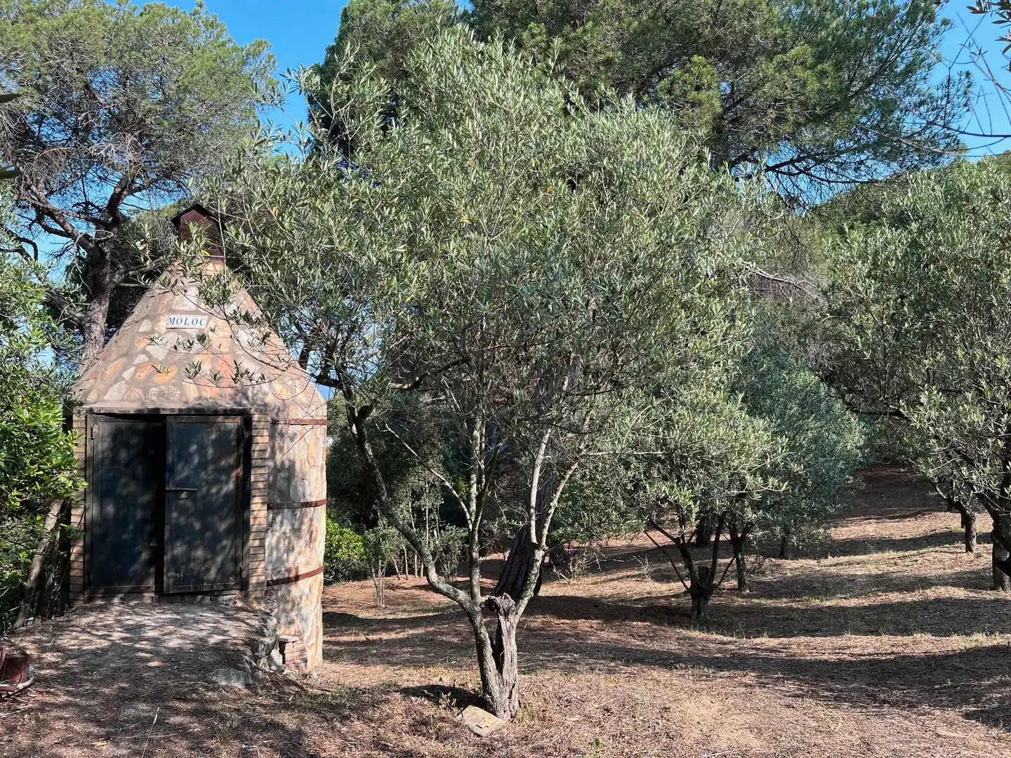 Haus mit Pool zum Verkauf in Llinars del Vallès, imagen 8