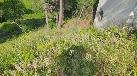 Foto 3 de Casa o chalet en venta en Cl Sant Nicolas 
 Maçanet de la Selva (girona), Montbarbat, Girona