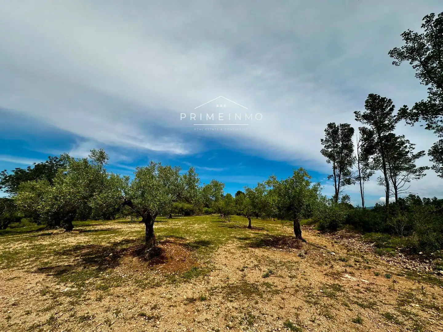 Terreno rústico en venta en Tivissa, imagen 60