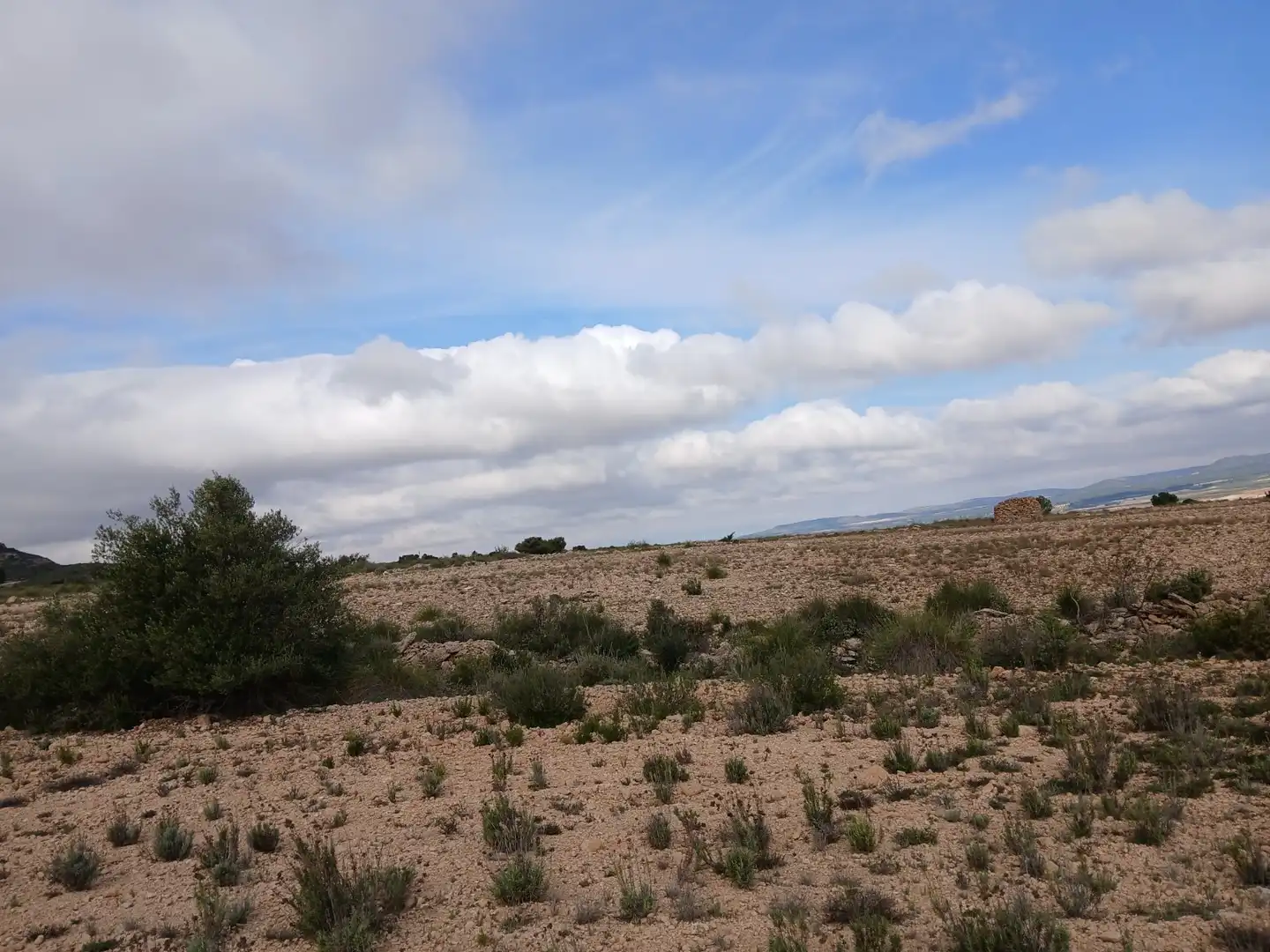 Residential land for sale in Yecla, imagen 8