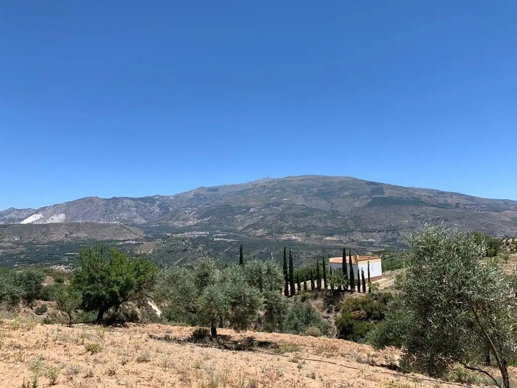 Terreno residencial en venta en Las Flores - Huerta, imagen 8