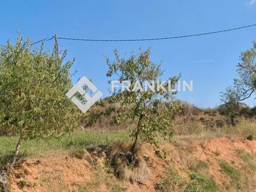 Terreno industrial en venta en Carrer del Torrent Fondo 27