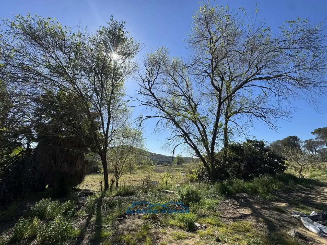 Terreno rustico in vendita a Calle Bosch Rabasa 1, imagen 5