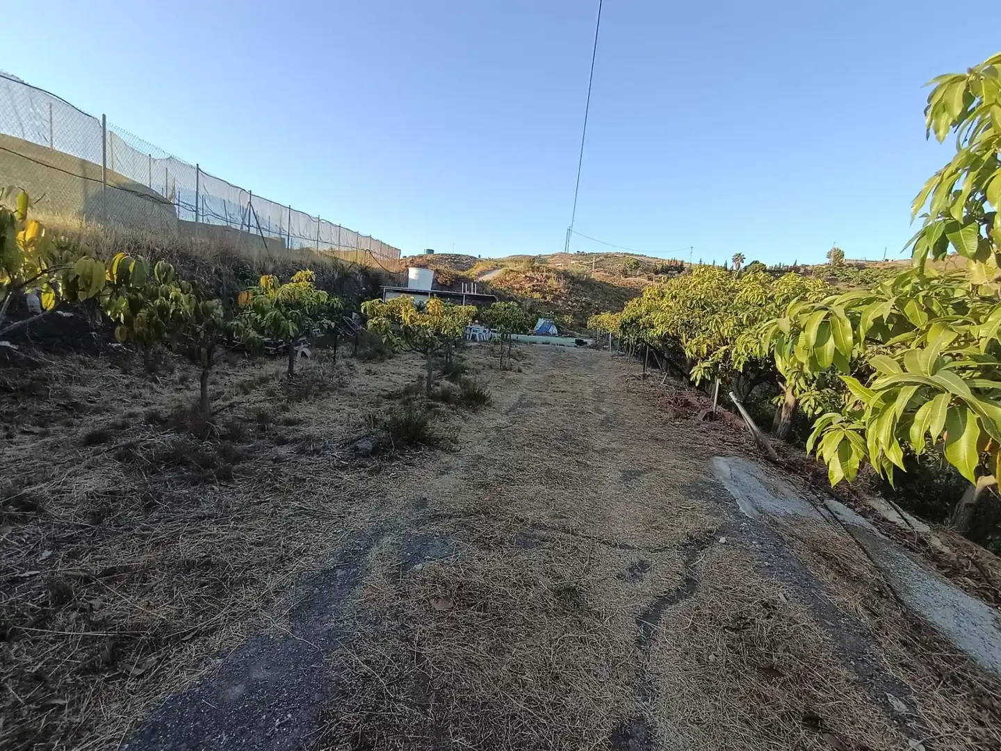 Terrenys i solars en venda a Canillas de Aceituno, imagen 38