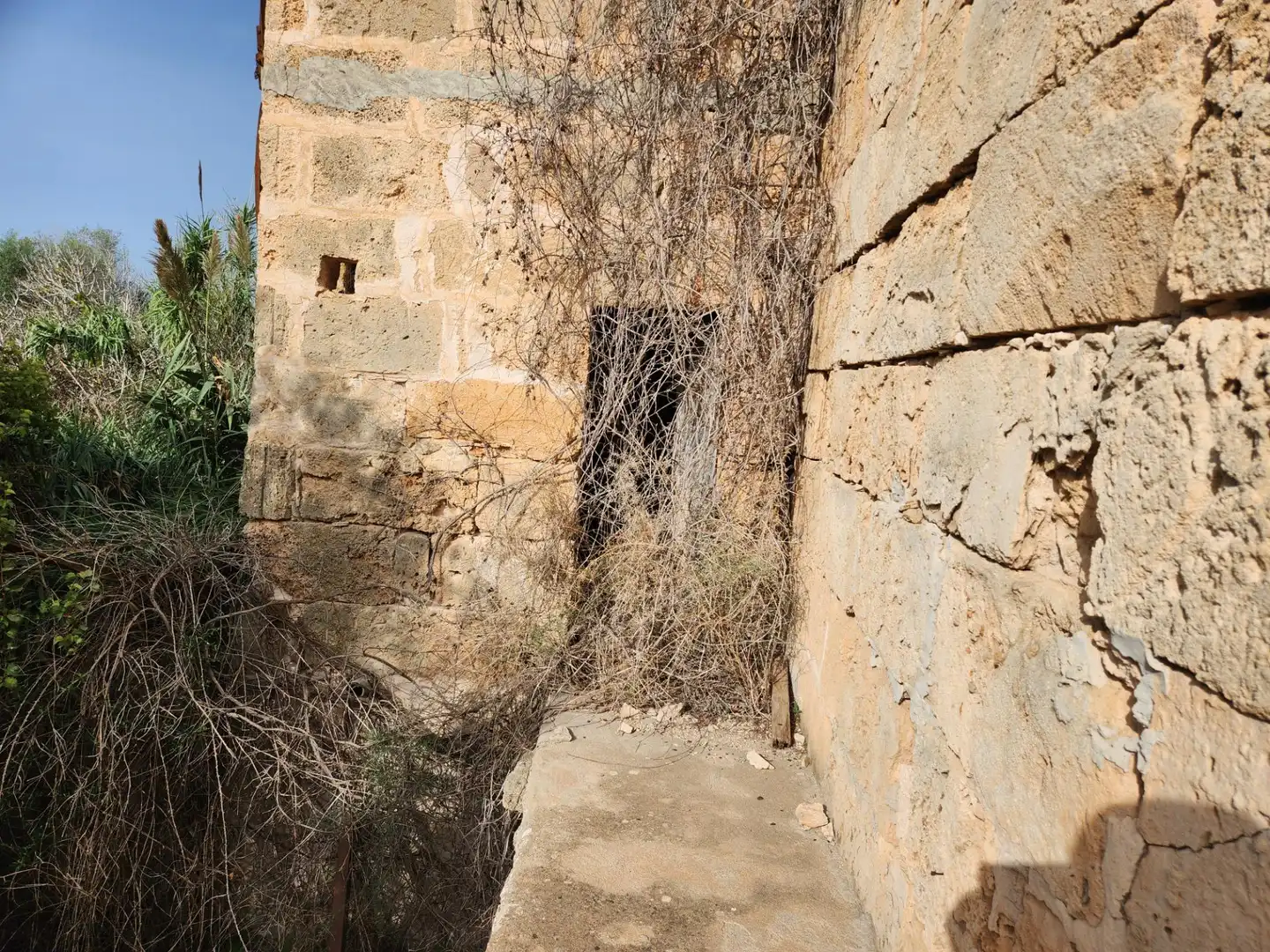 Maison rustique avec jardin à vendre à Muro, imagen 21