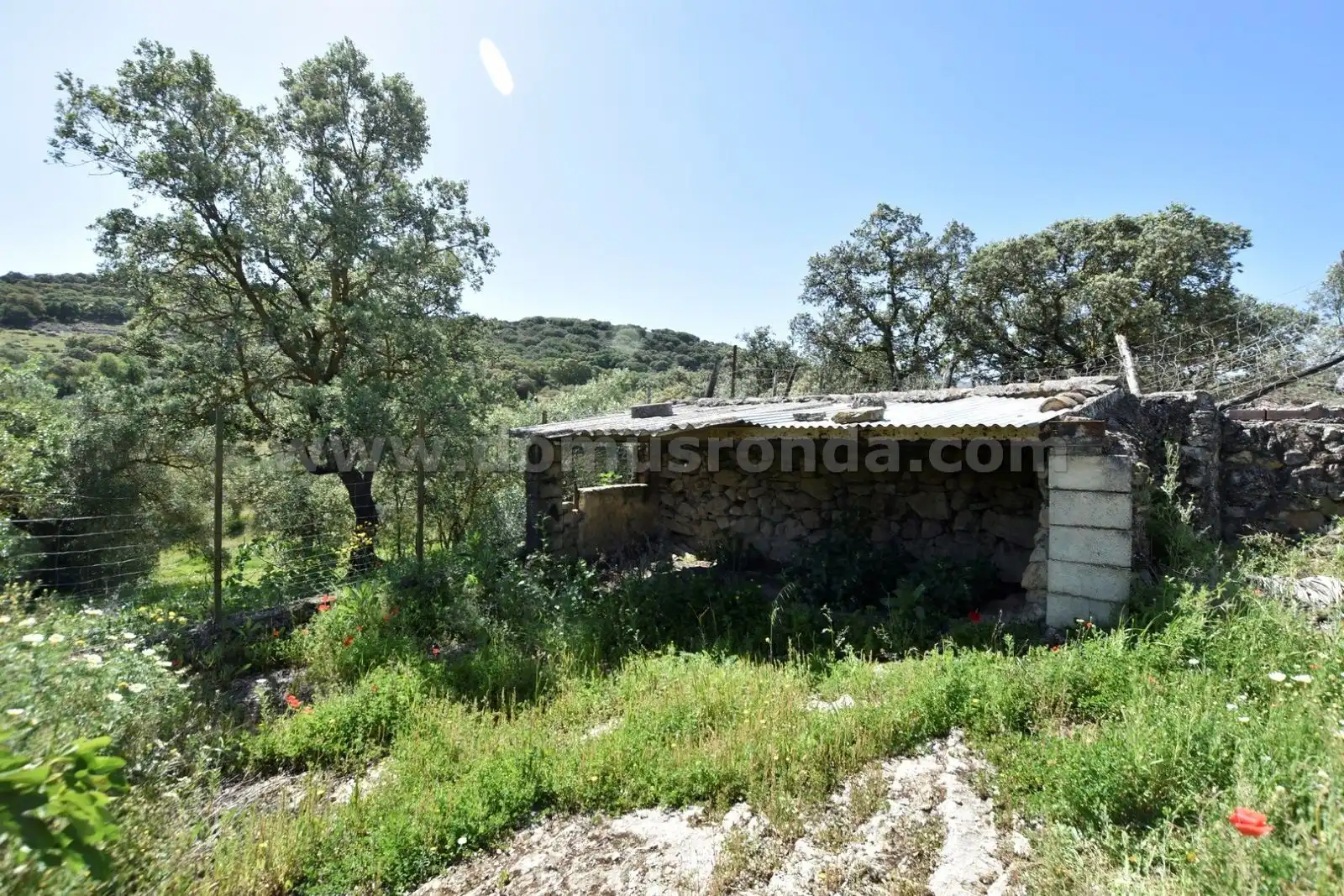 Finca rústica en venda en Ronda