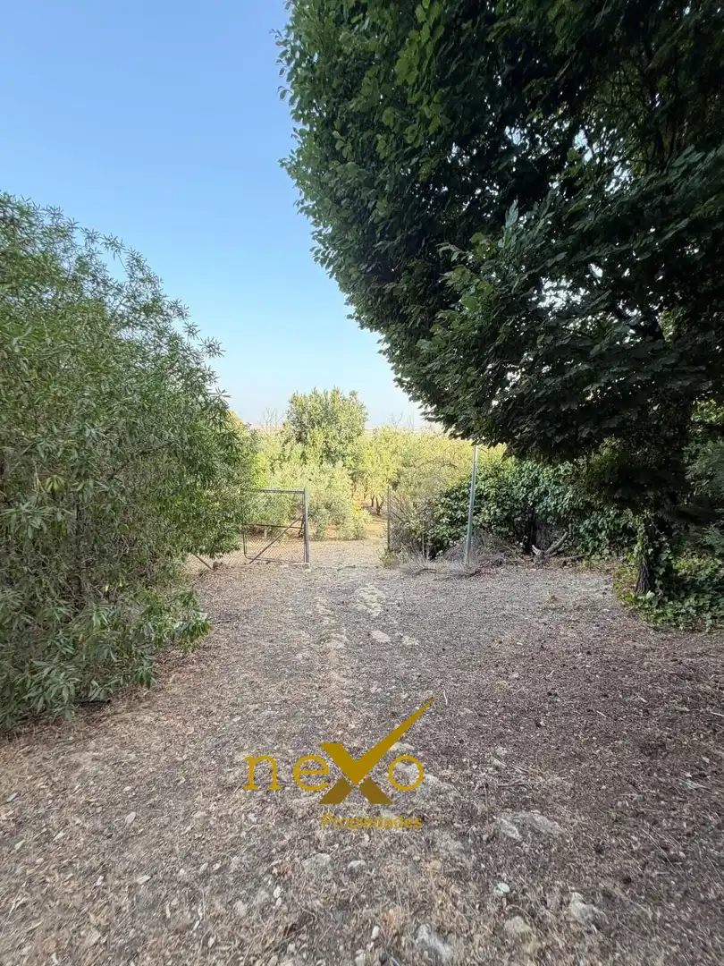 Chalet con terraza en venta en Carmona, imagen 8