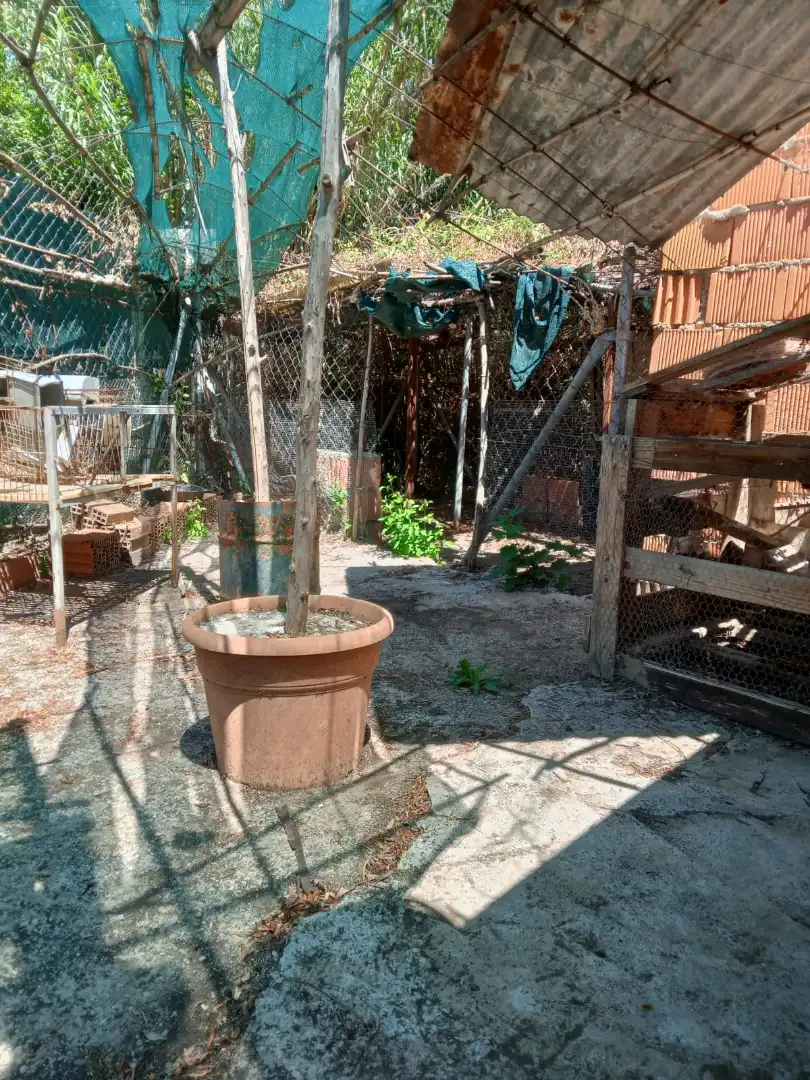 Terrains et parcelles à vendre à Fuente Vaqueros, imagen 15