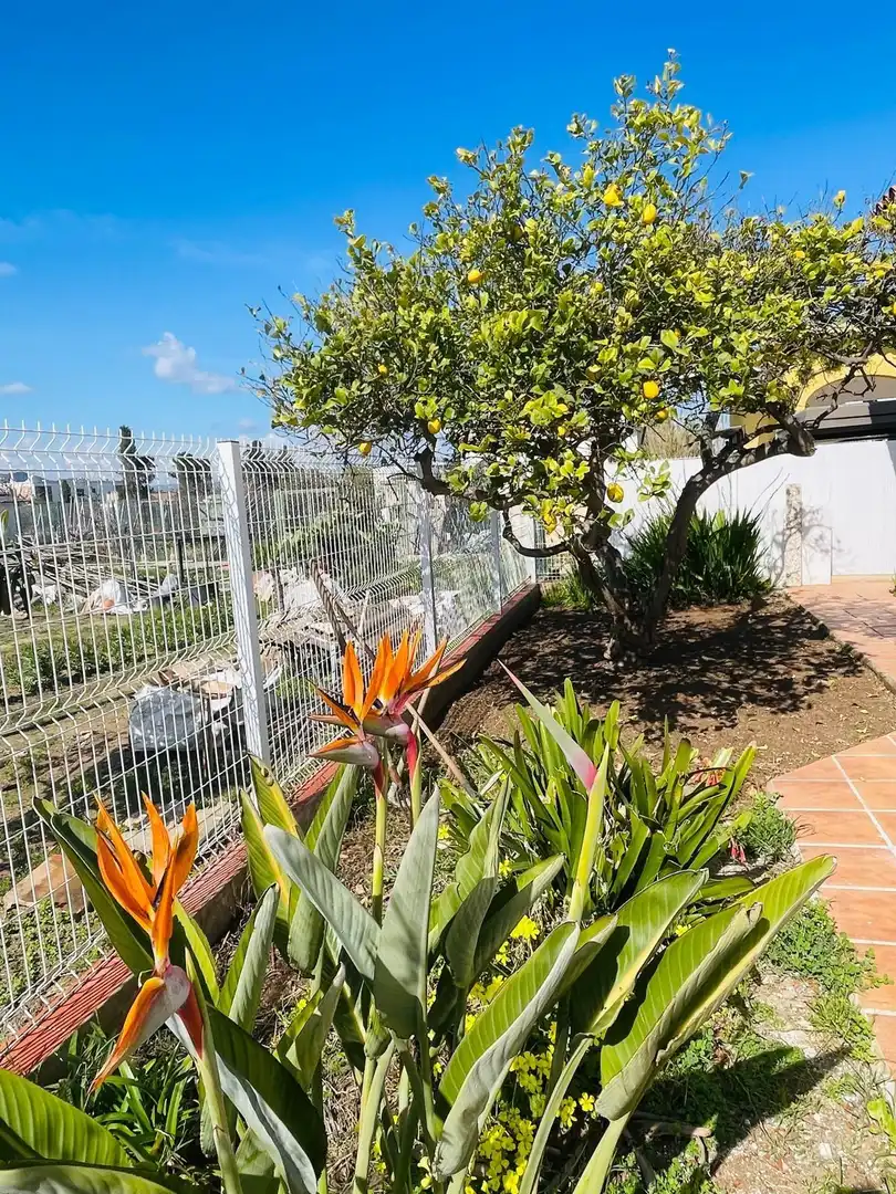 House with garden to rent in Oliva Playa, imagen 29