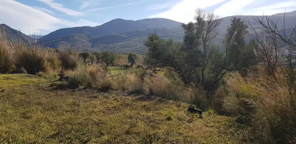 Residential land for sale in Órgiva, imagen 2