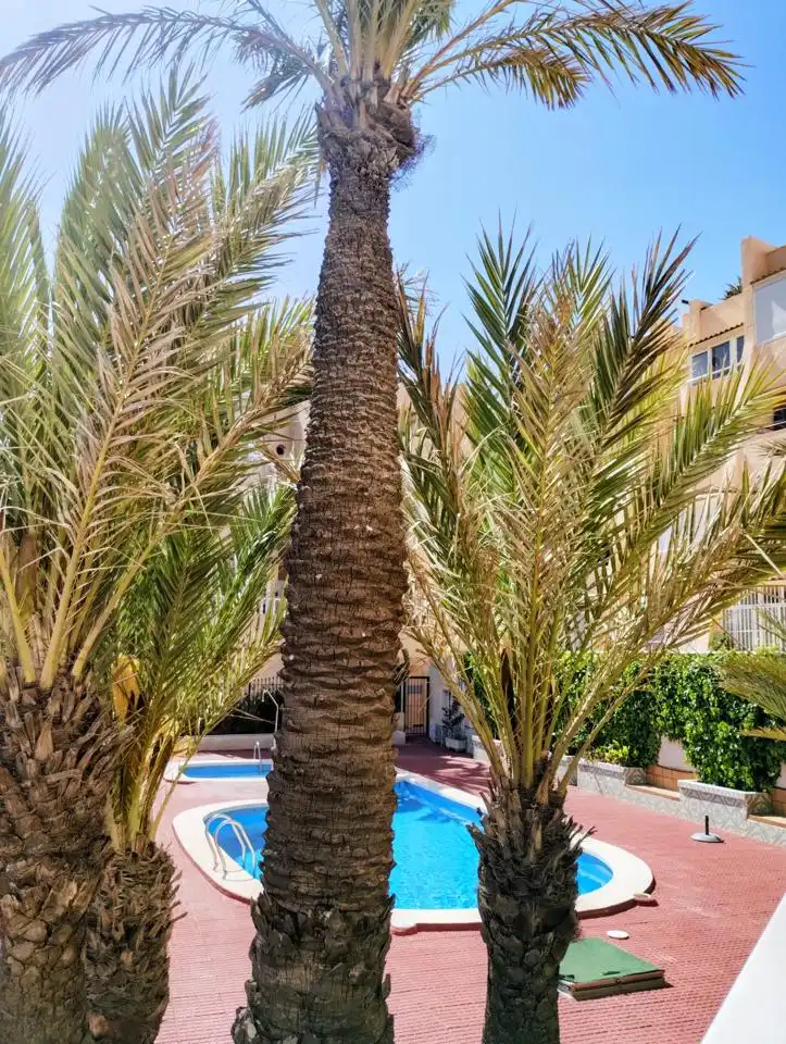 Vista exterior de Pis en venda en Torrevieja amb Aire condicionat, Terrassa i Piscina comunitària