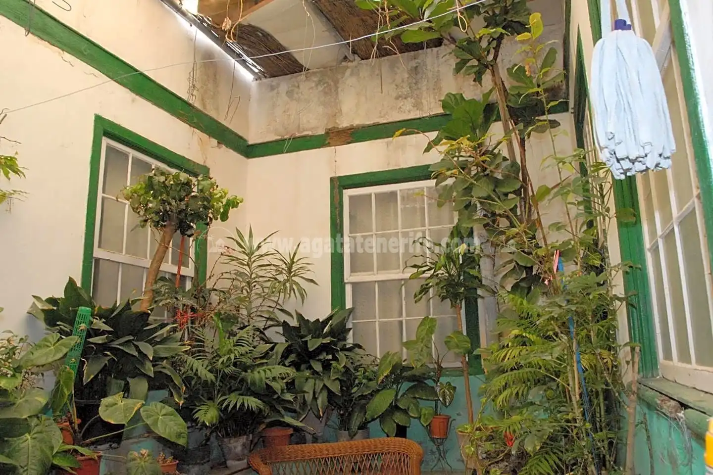 Garden of Country homes for sale in San Miguel de Abona