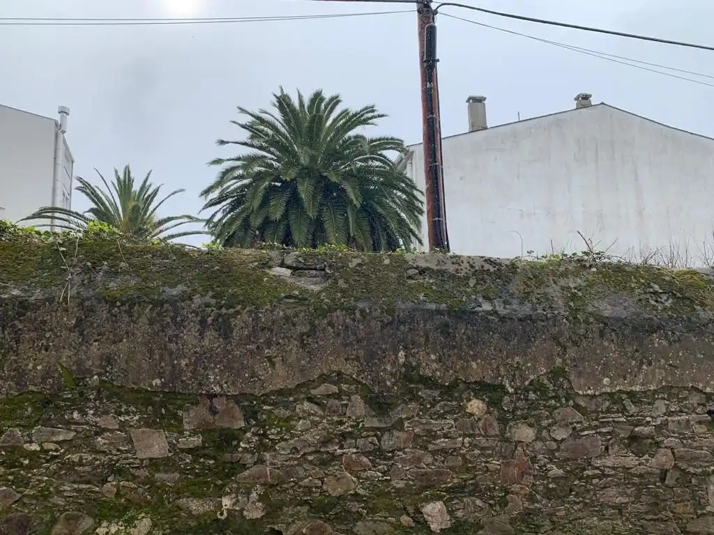 Terreni e lotti in vendita a Rúa Fernández Latorre, imagen 2