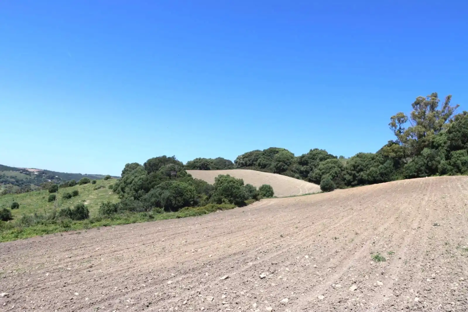 Terreni e lotti in vendita a Vejer, imagen 4
