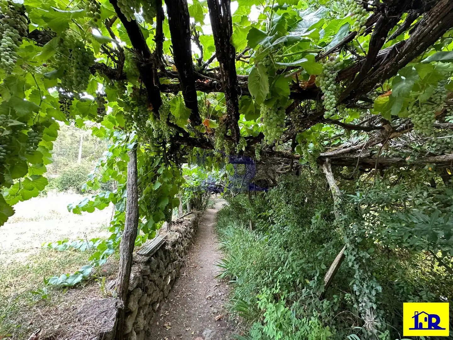 Jardín de Casa o chalet en venta en Cuenca con Terraza