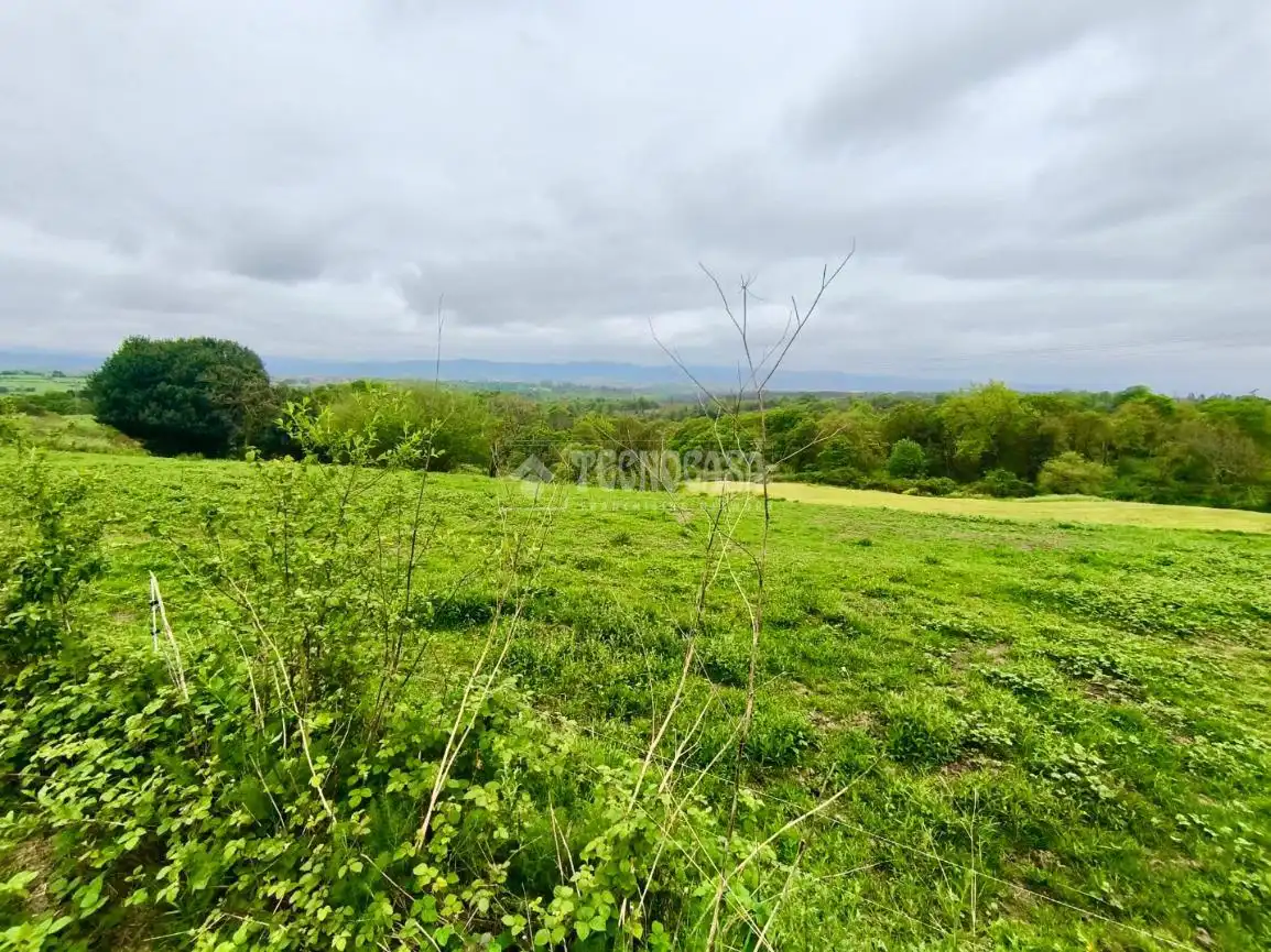Land for sale in Siero