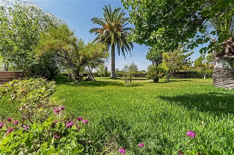 Casa rústica amb piscina en venda a Bunyola, imagen 2