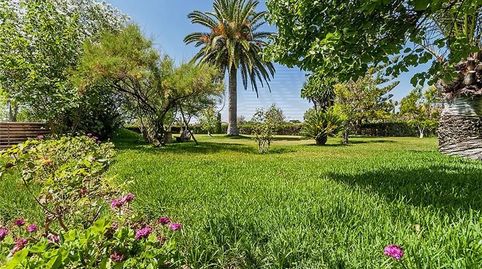 Foto 2 de Finca rústica en venda a Bunyola, Illes Balears