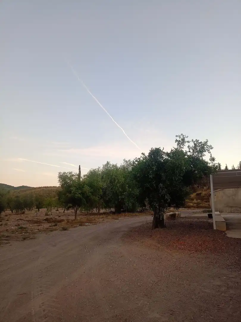 Exterior view of Country homes for sale in Lorca