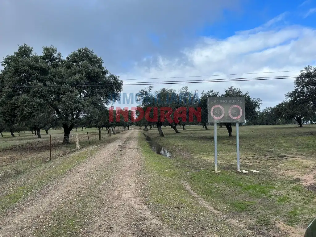 Finca rústica en venta en Calle Corchito, Majadas