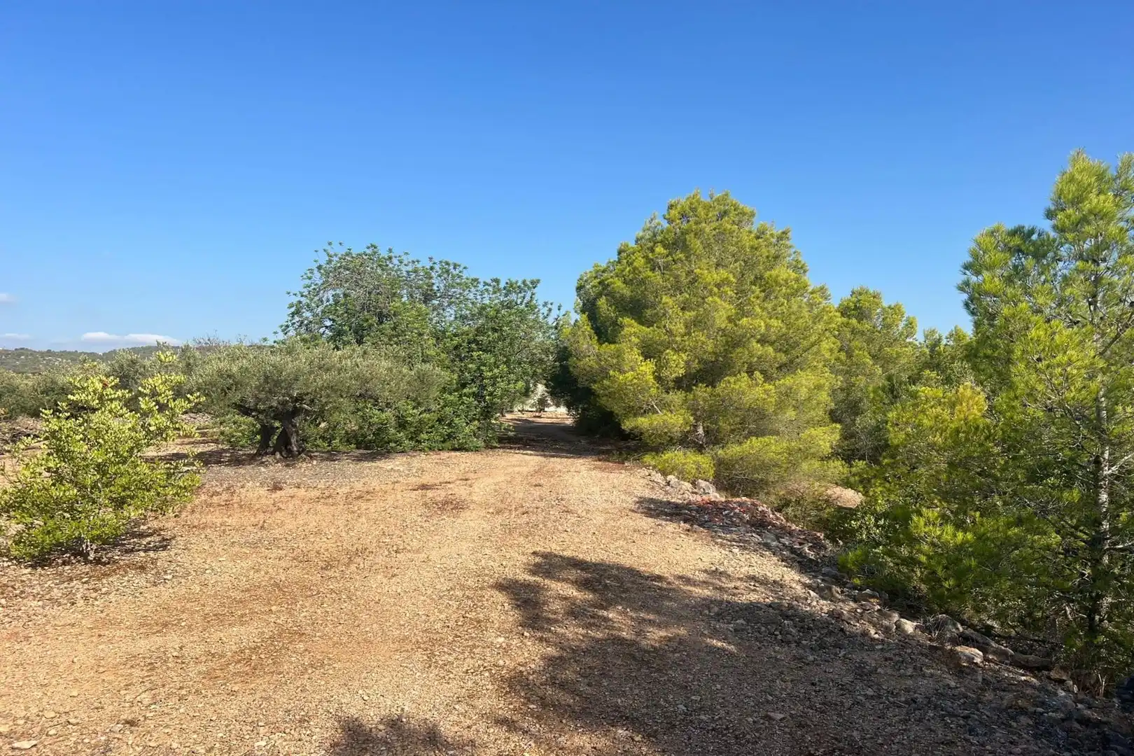 Finca rústica en venta en Tortosa