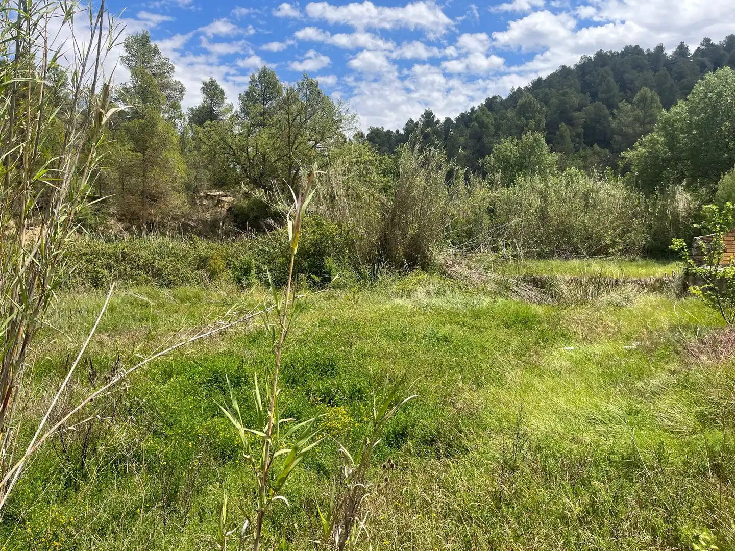 Terreno en venta en Cretas