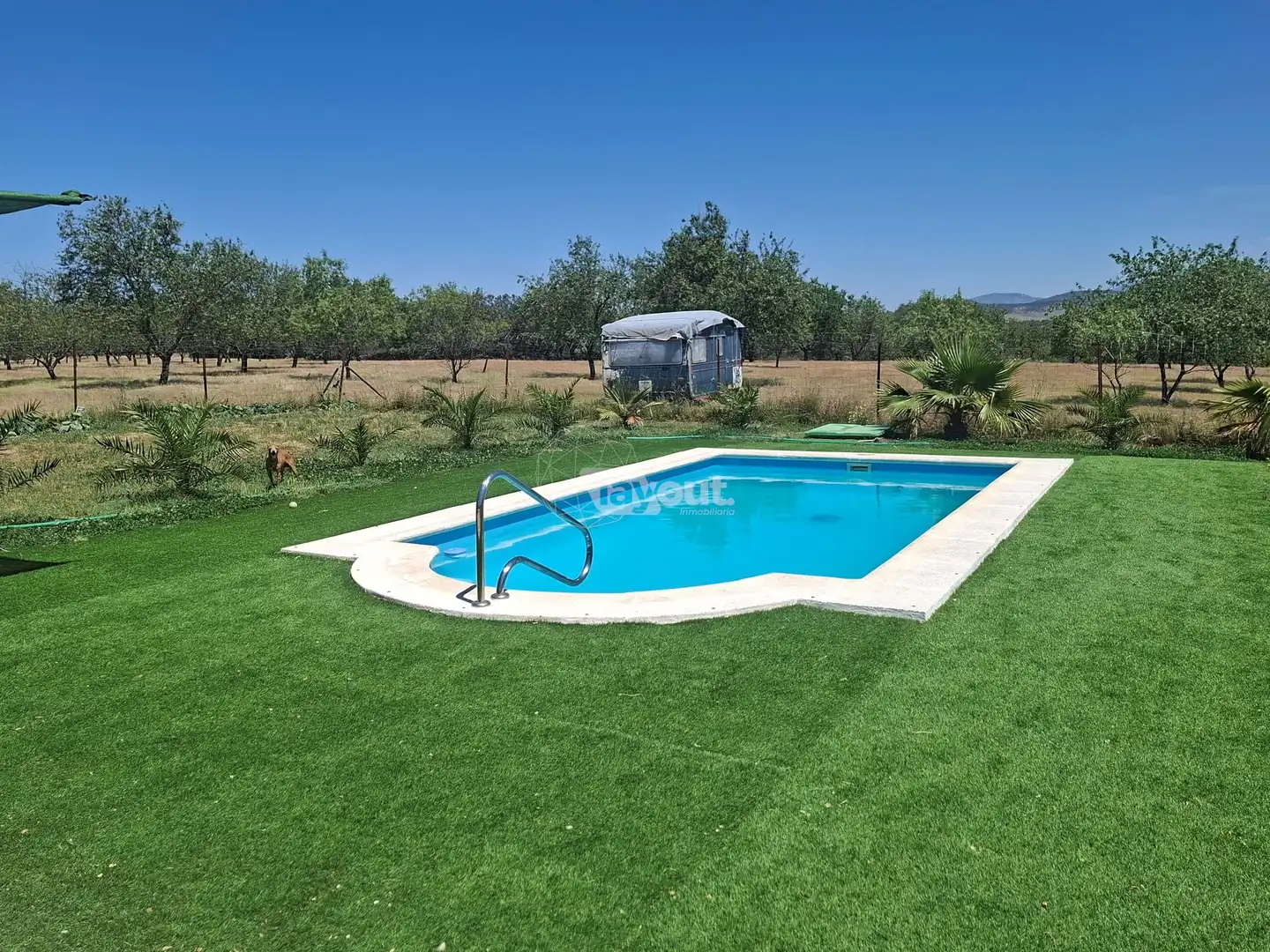Swimming pool of Detached homes for sale in Malpartida de Plasencia  with Swimming Pool