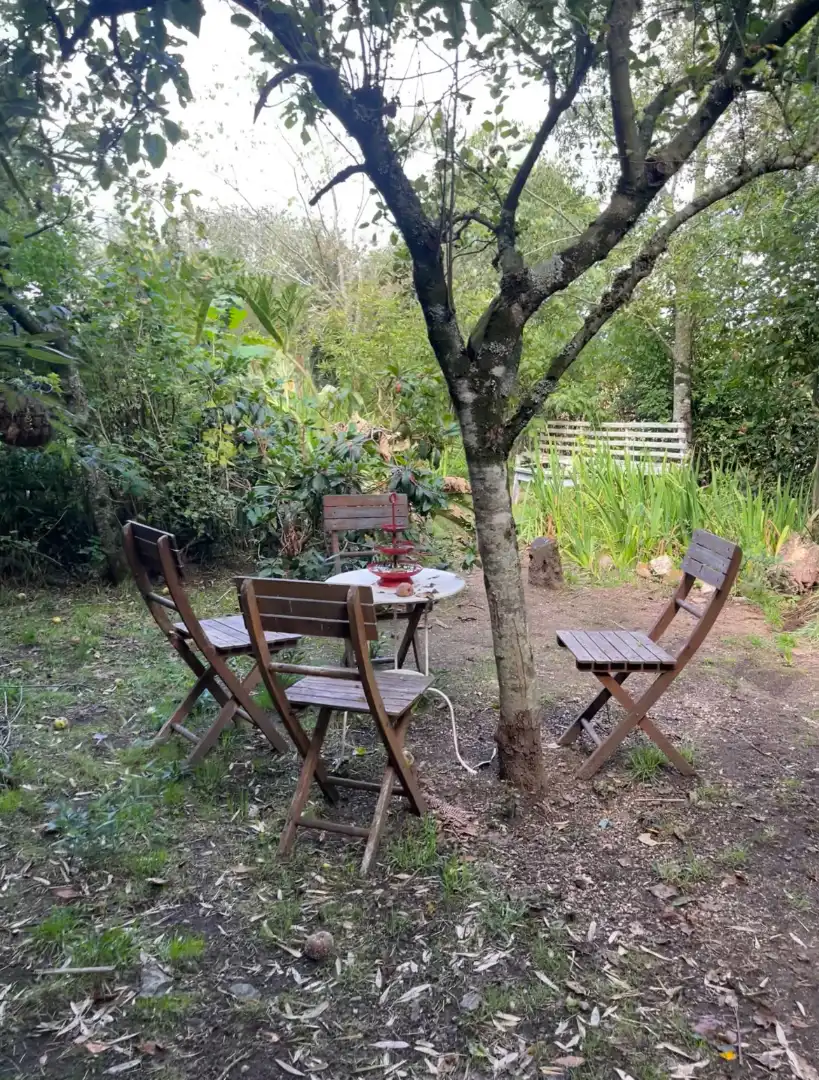 Garden of Houses for sale in Palas de Rei  with Swimming Pool, Furnished and Microwave