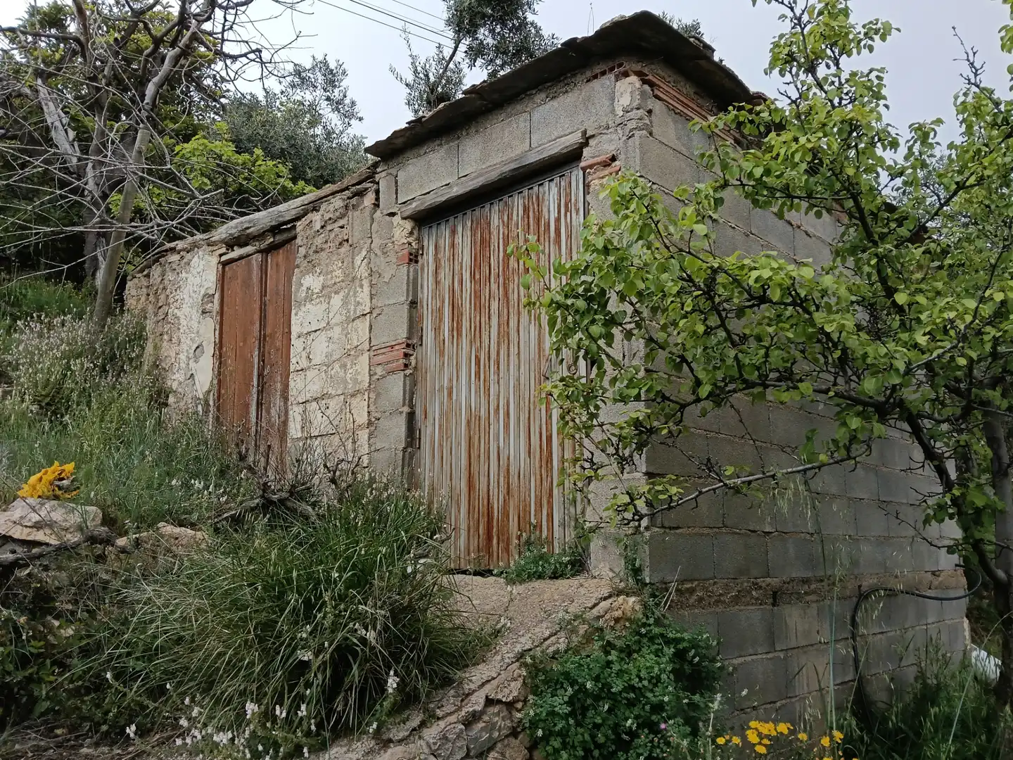 Terreni e lotti in vendita a Alpujarra de la Sierra, imagen 30