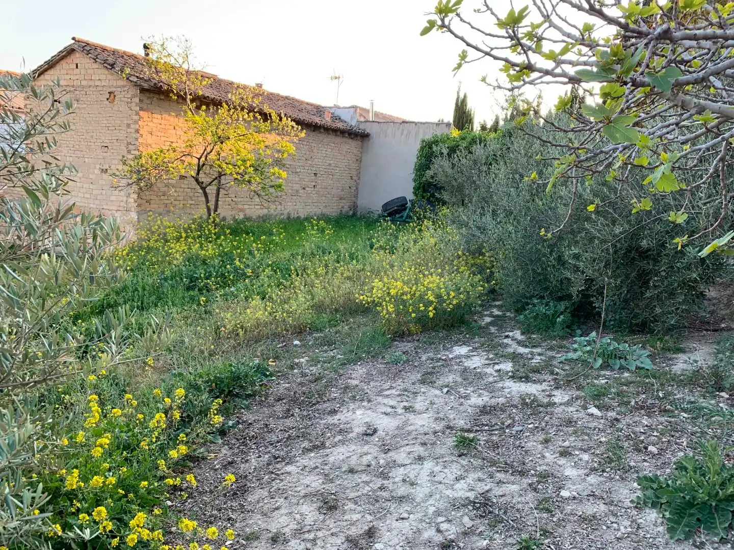 Terreni e lotti in vendita a Calle de Valencia, imagen 8
