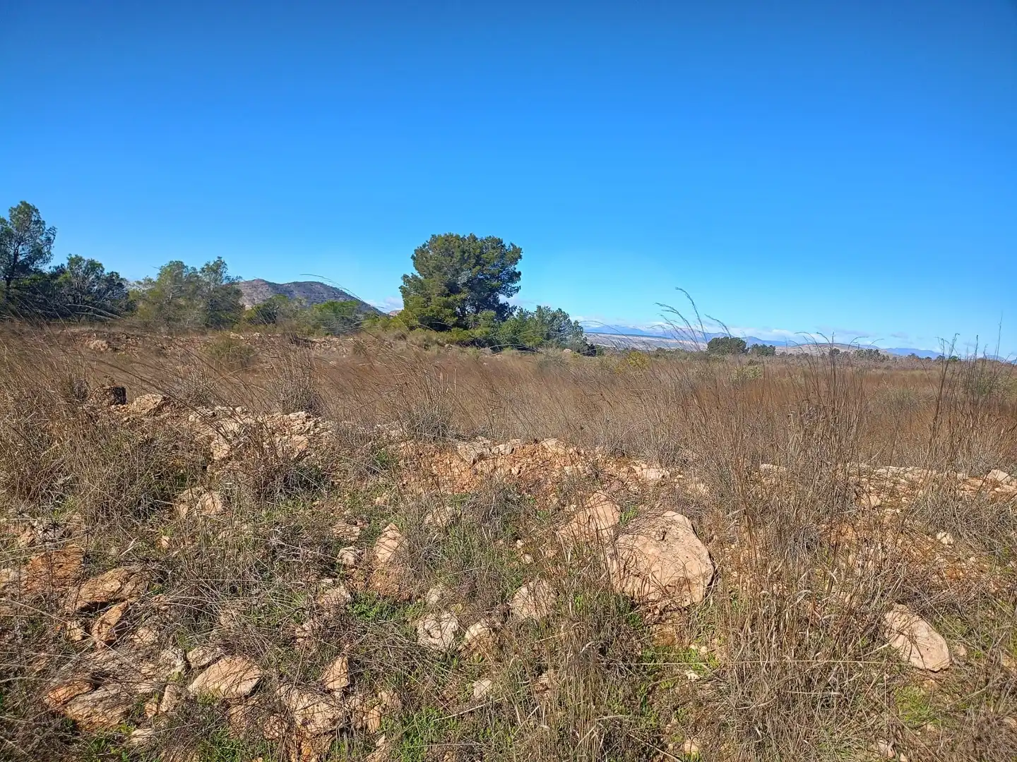 Grundstücke zum Verkauf in Lorca