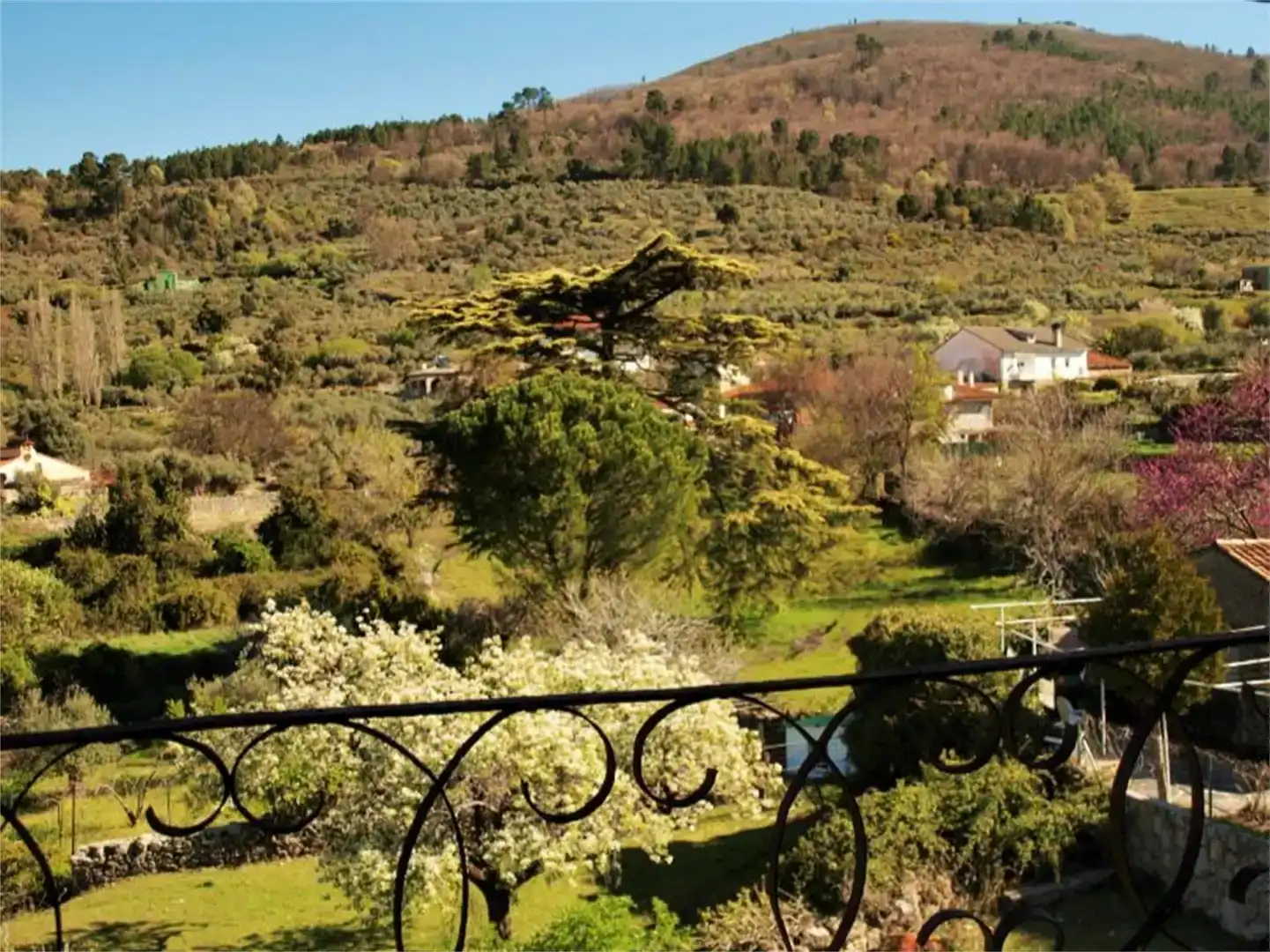 Jardí de Finca rústica en venda en San Martín de Trevejo amb Jardí privat, Traster i Balcó