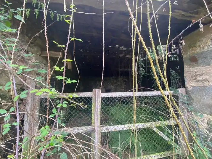 Vista exterior de Finca rústica en venta en Salas