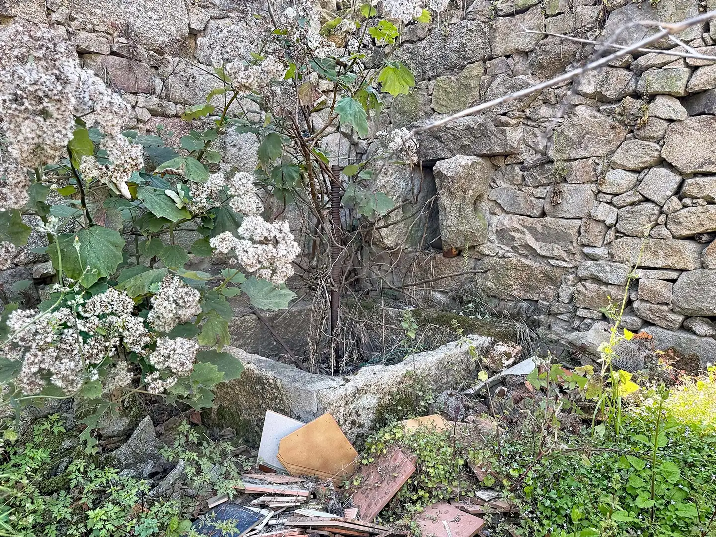 Jardín de Casa o chalet en venta en Ribadumia