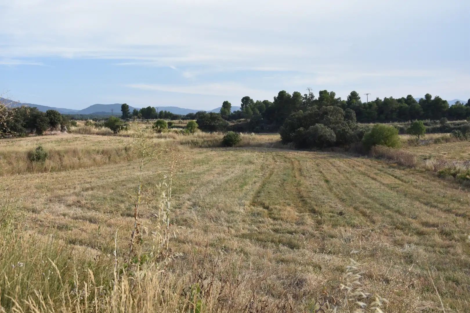 Terreni e lotti in vendita a Fuentespalda, imagen 2
