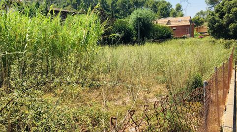 PARCELA DE 800M2 SEMILLANA