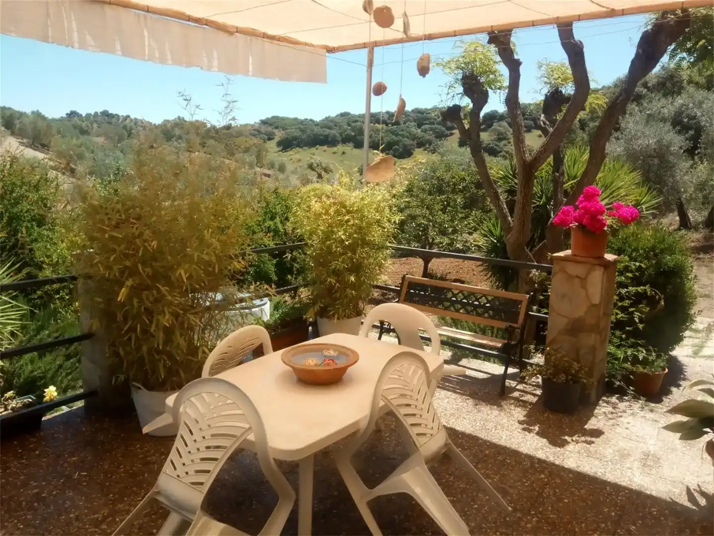 Terraza de Terreno en venta en Montellano