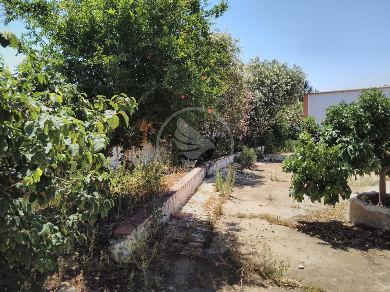 Country house zum verkauf in Linares