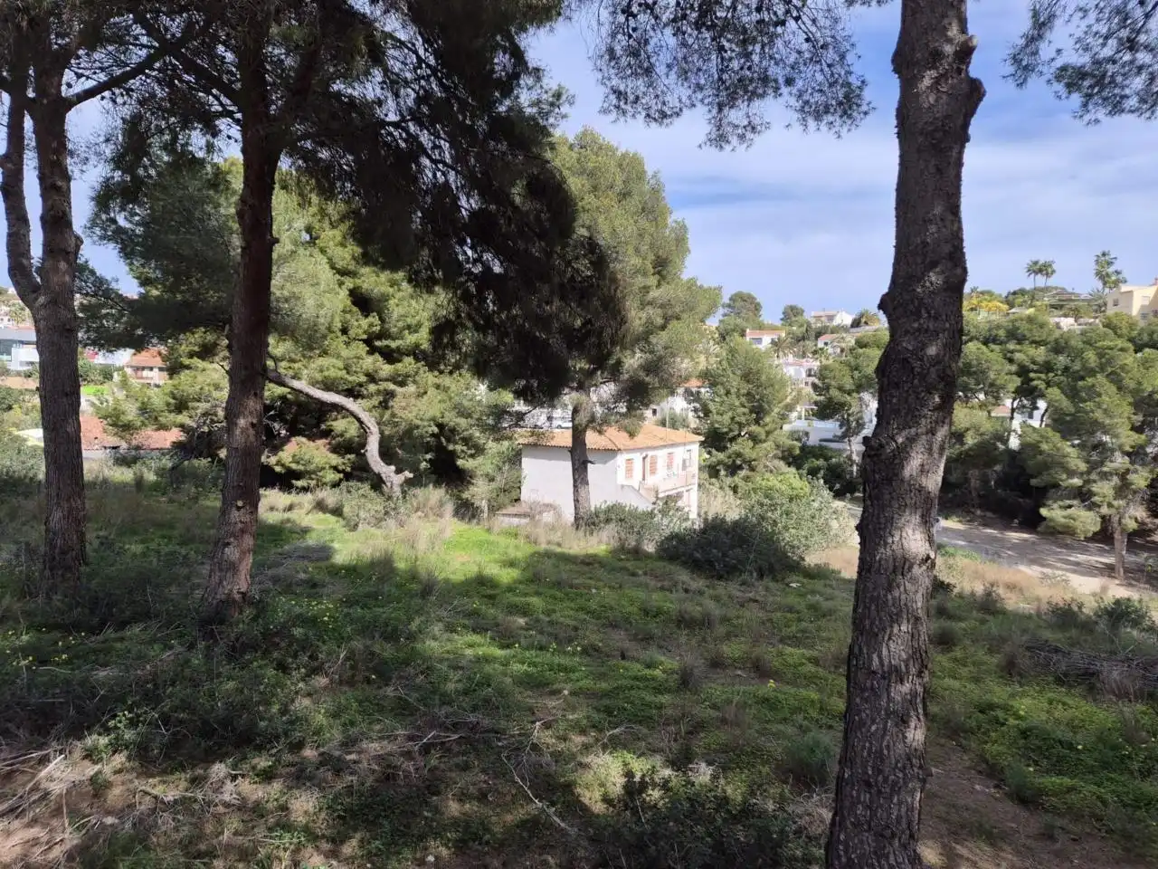 Villa avec jardin à vendre à La Viña - Montemar - San Jaime, imagen 5