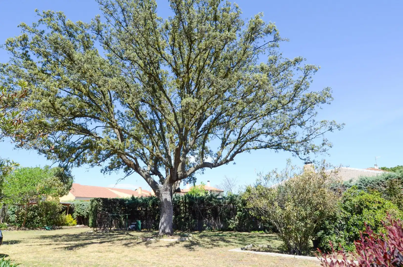 Casa o chalet en venta en Raya del Palancar - Guadamonte