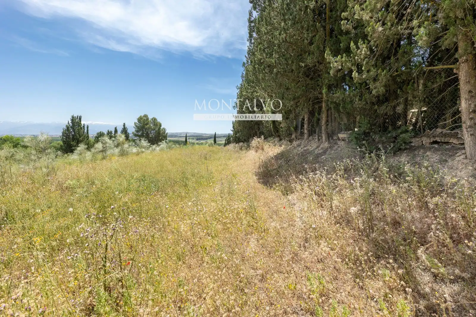 Land for sale in Pinos Puente