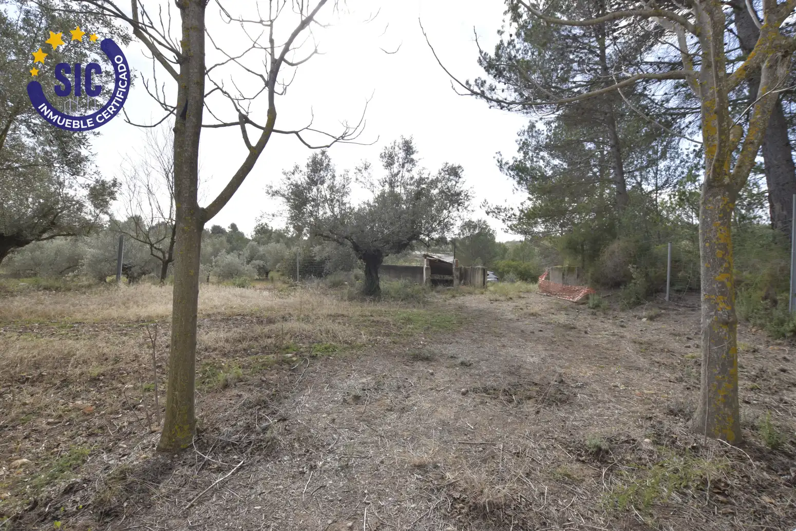 Land for sale in Jérica